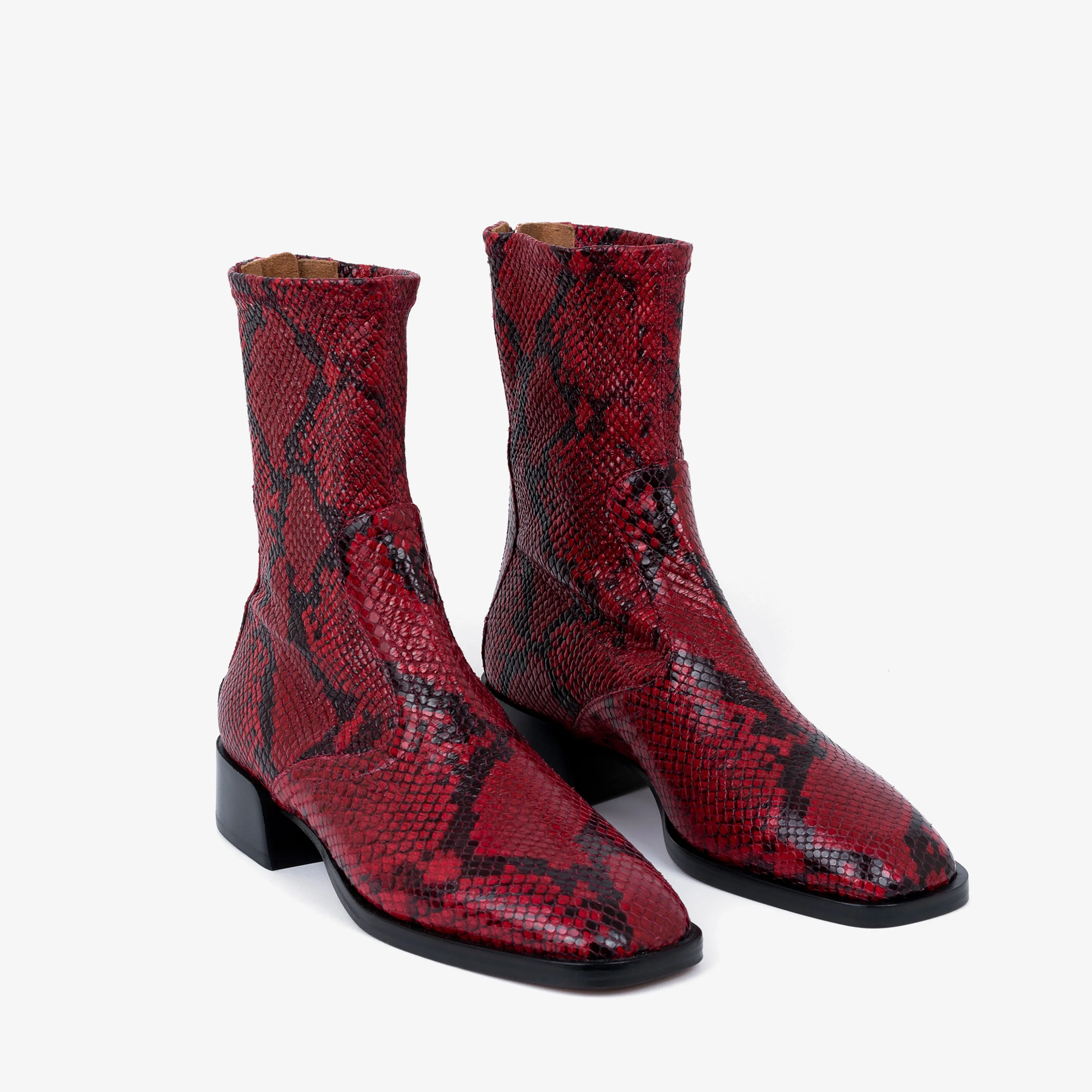 Caro Red Python