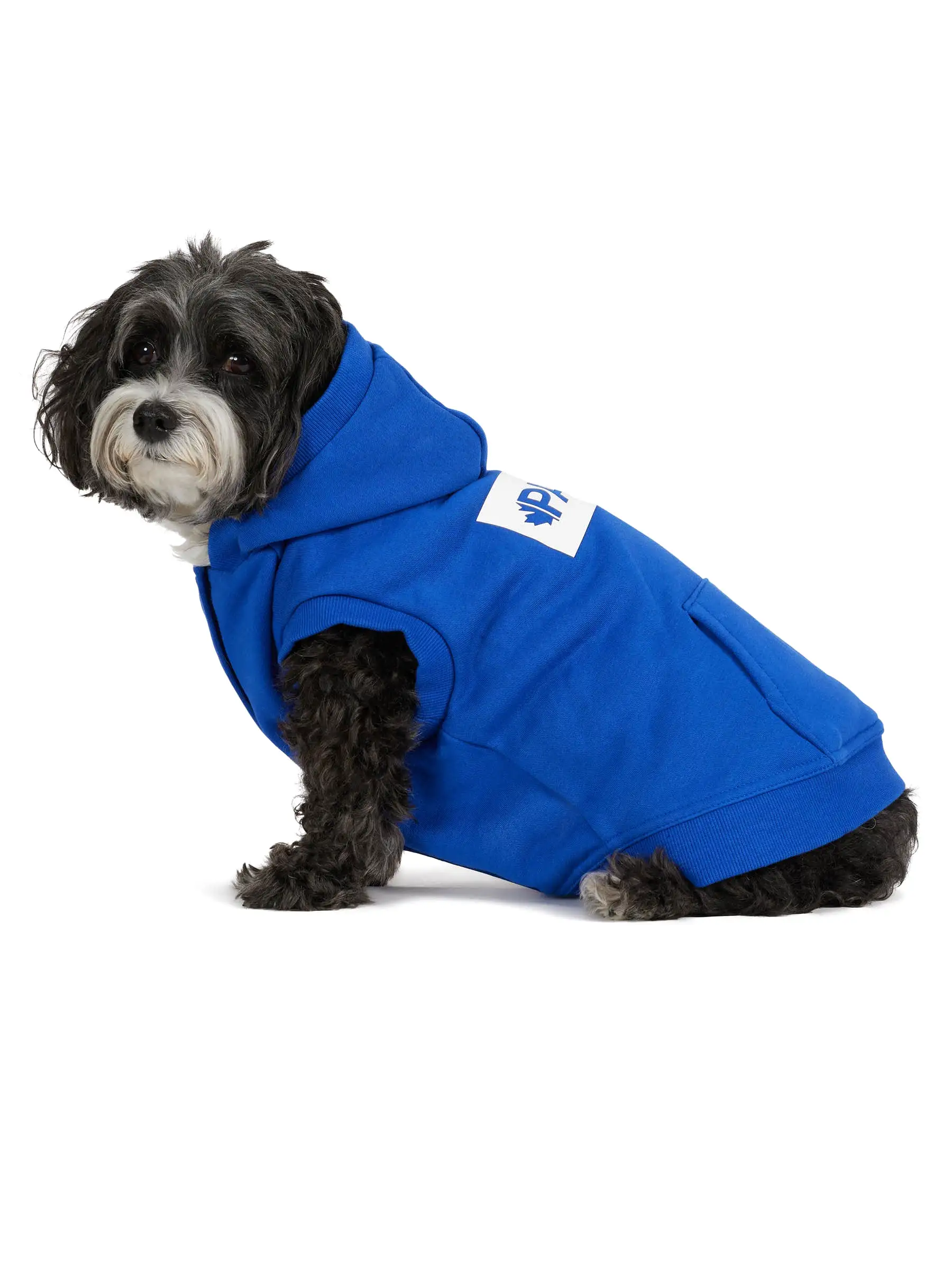 Dash Hoodie for Dogs