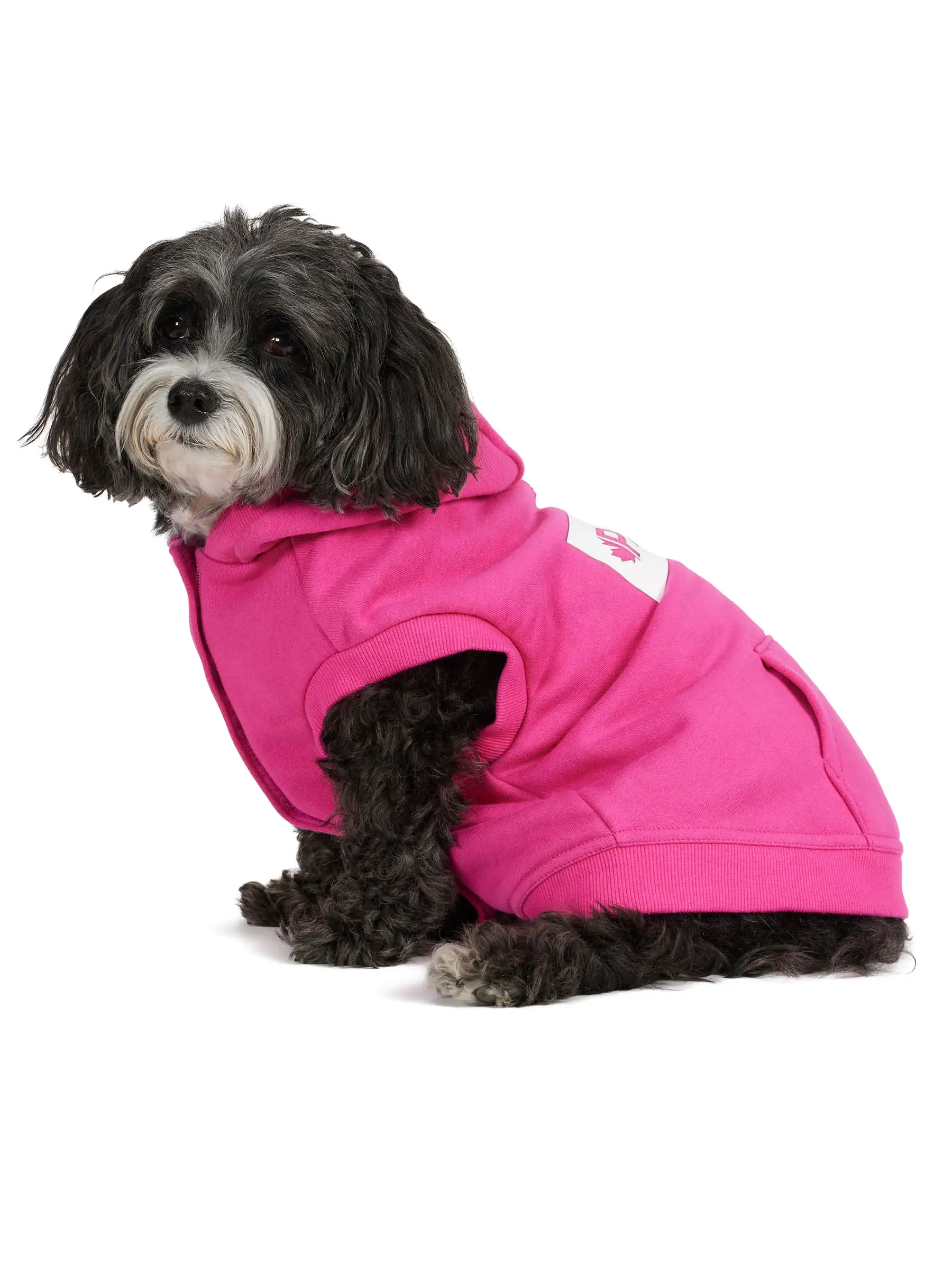 Dash Hoodie for Dogs