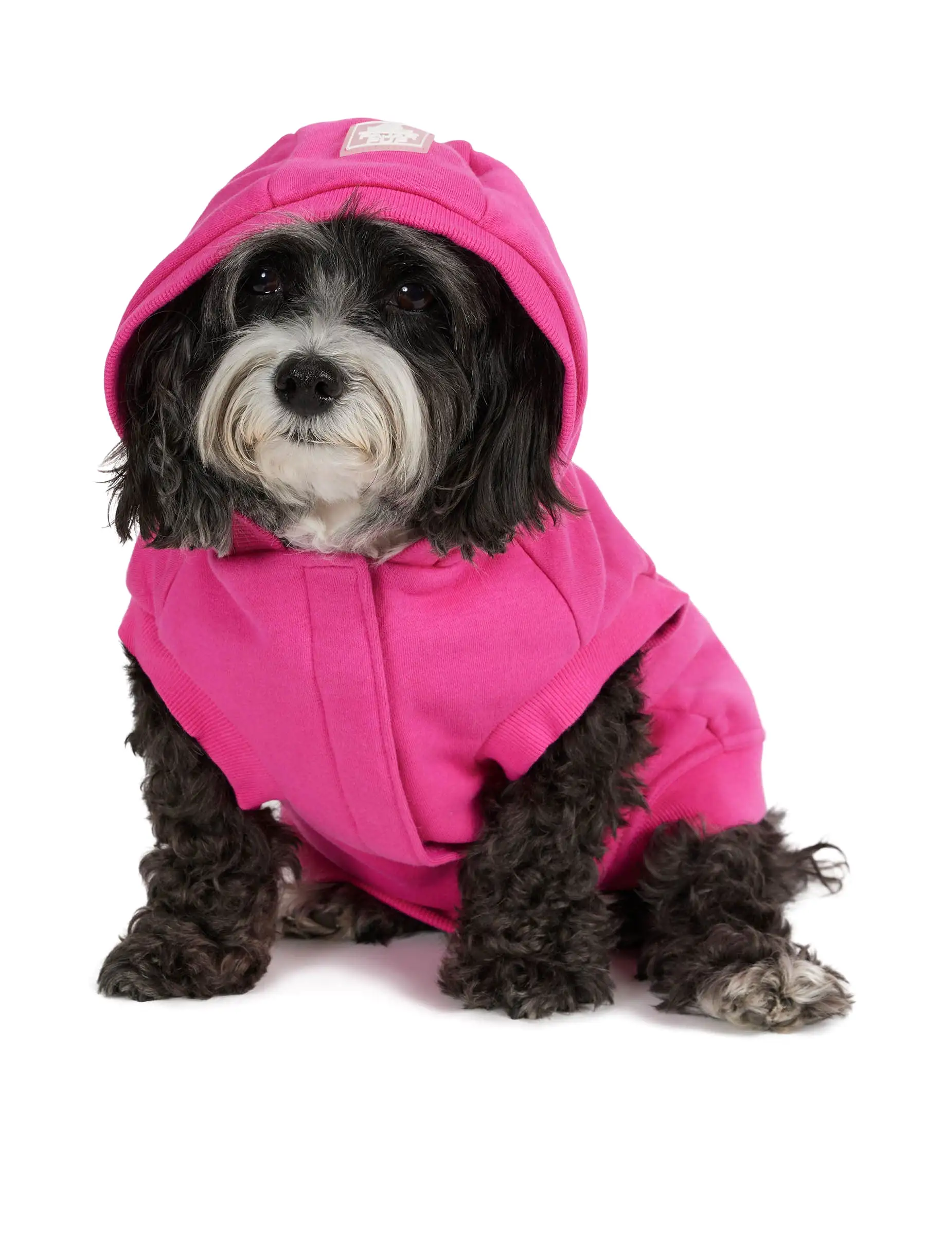 Dash Hoodie for Dogs