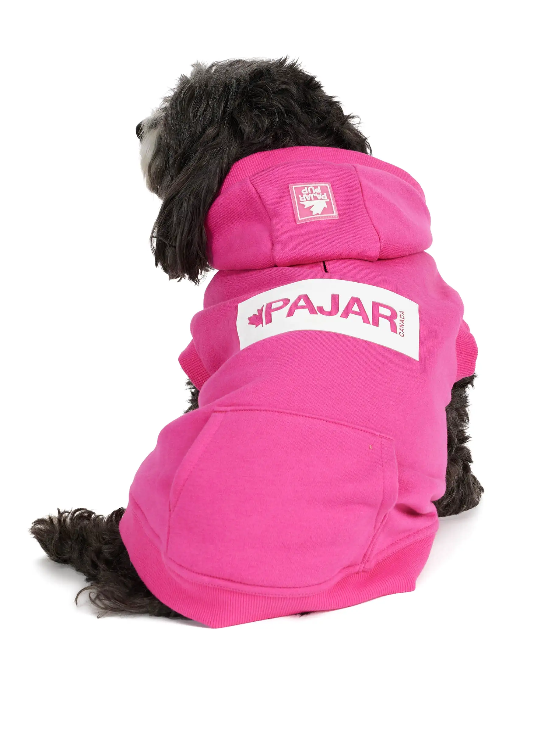 Dash Hoodie for Dogs