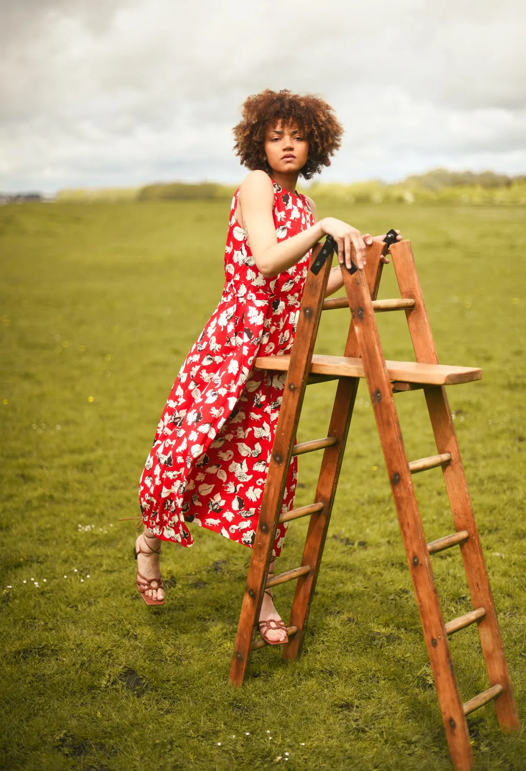 Flared Cotton Dress in Squirrel Print