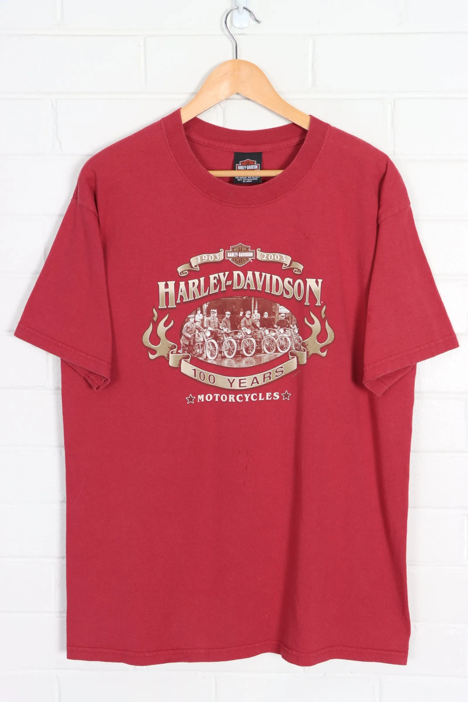 HARLEY DAVIDSON Ramsay's 100 Years T-Shirt Canada Made (M-L)