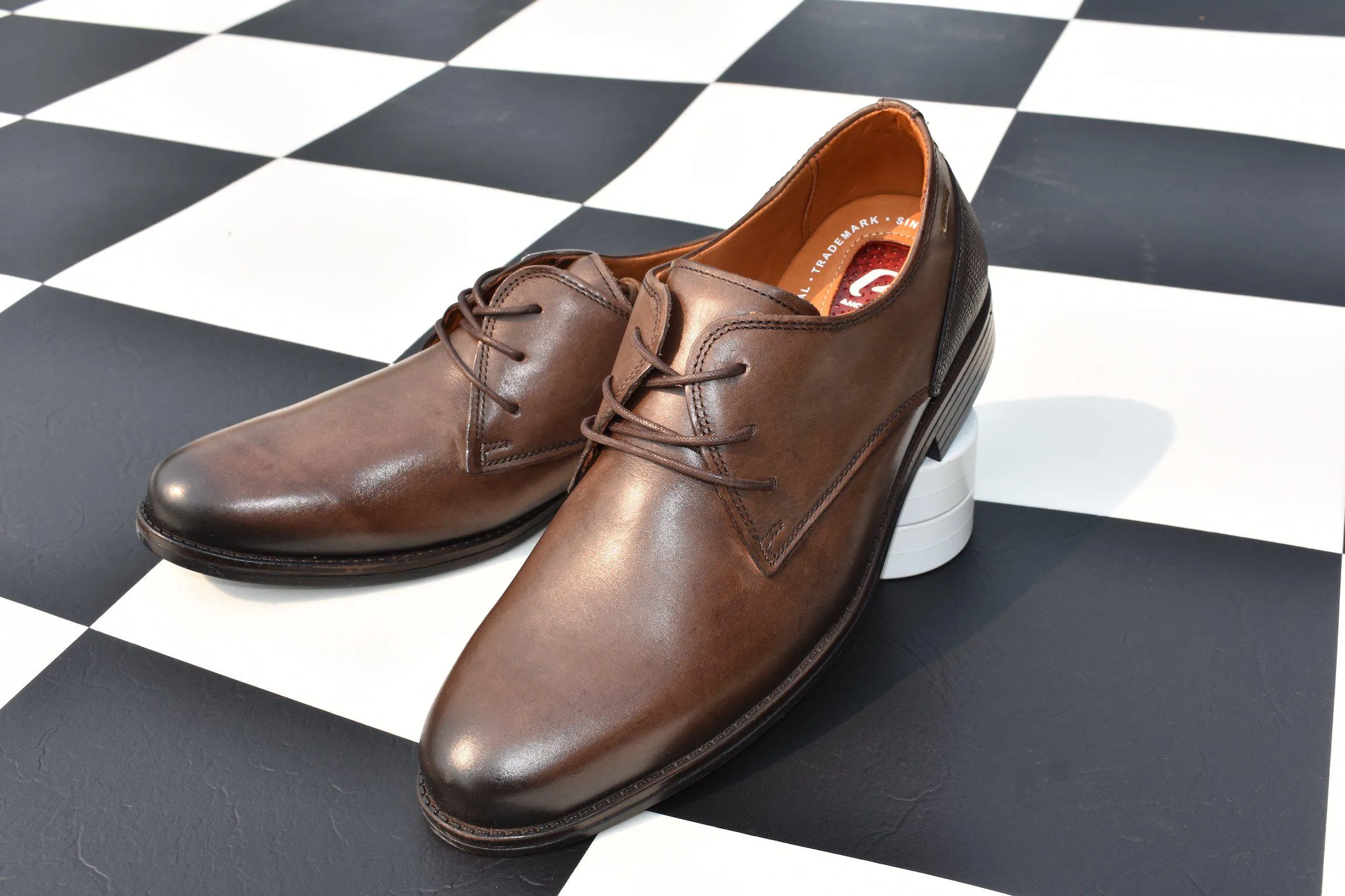 Pegada Aniline Leather Dress Shoes in Brown