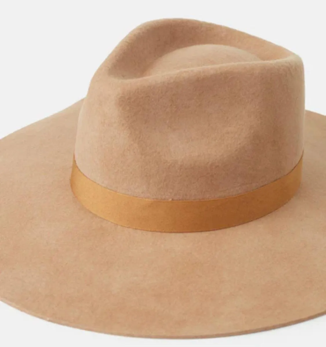 Tentree Taylor Felt Rancher Hat In Tobacco Brown